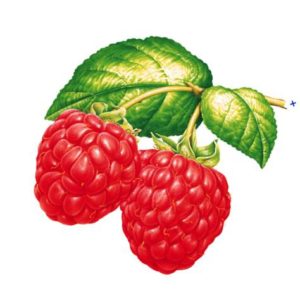 framboise