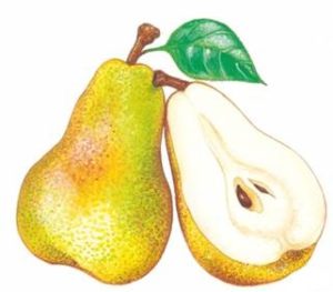 poire